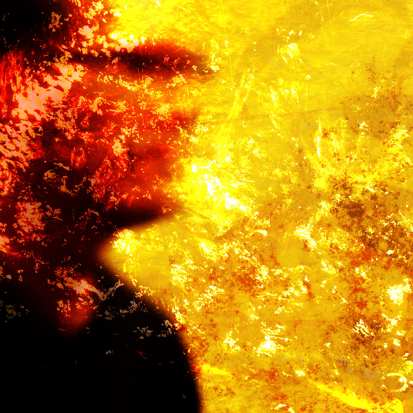 Design + Illustration by Michael Reilly